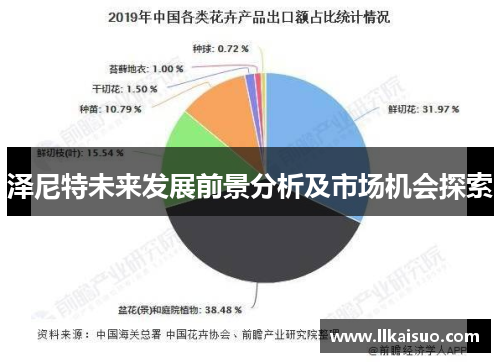 泽尼特未来发展前景分析及市场机会探索