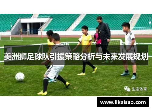 美洲狮足球队引援策略分析与未来发展规划