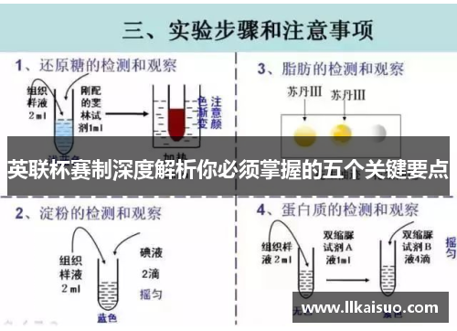 英联杯赛制深度解析你必须掌握的五个关键要点 英联杯赛制深度解析你必须掌握的五个关键要点